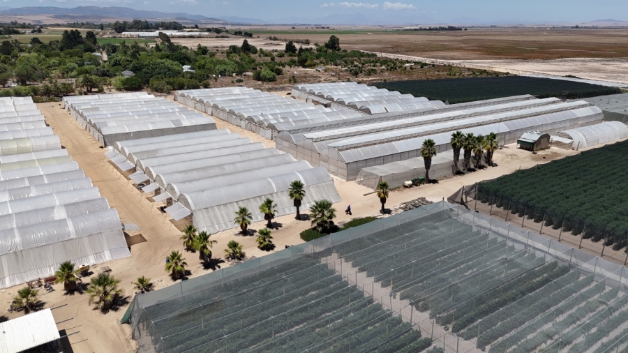 3 Bedroom Property for Sale in Tierfontein AH Western Cape